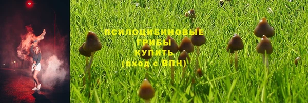 соль ск Лихославль