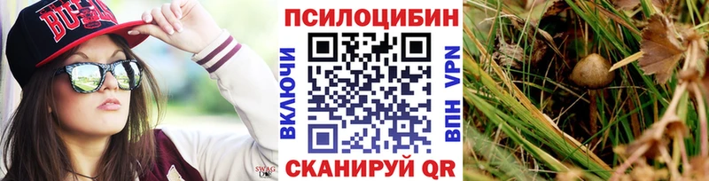 Купить где  Андреаполь  Псилоцибиновые грибы мицелий 
